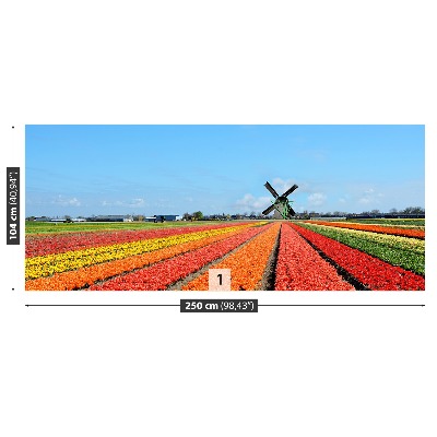Fototapeta Wiatrak Tulipany