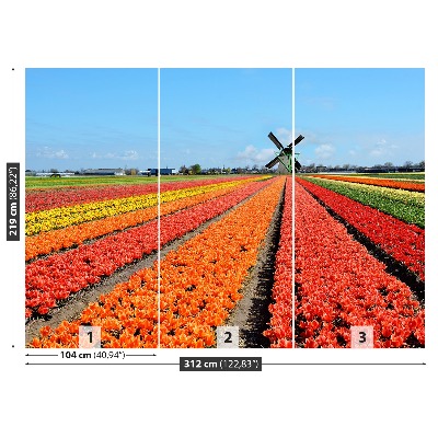 Fototapeta Wiatrak Tulipany