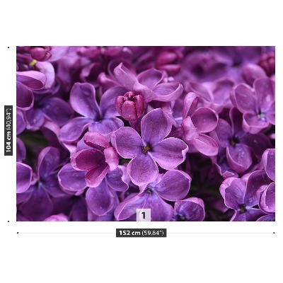 Fototapeta Kwiaty Fioletowy