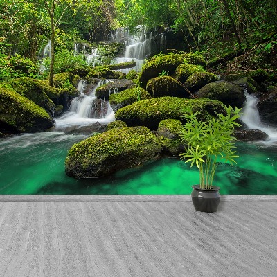 Fototapeta Wodospad w dżungli