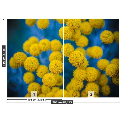Fototapeta Żółte kwiaty