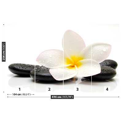 Fototapeta Plumeria Kamienie