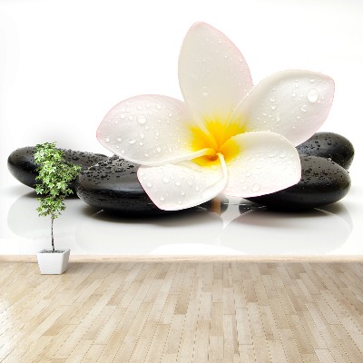 Fototapeta Plumeria Kamienie