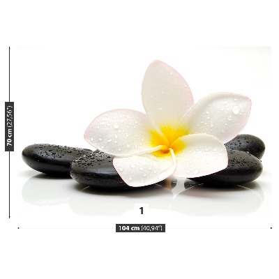 Fototapeta Plumeria Kamienie