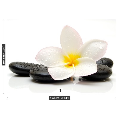 Fototapeta Plumeria Kamienie