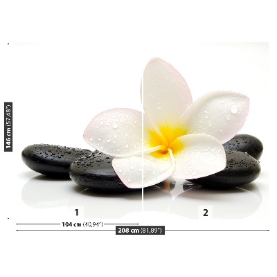 Fototapeta Plumeria Kamienie