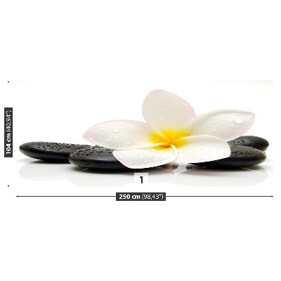 Fototapeta Plumeria Kamienie