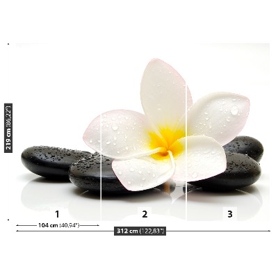 Fototapeta Plumeria Kamienie