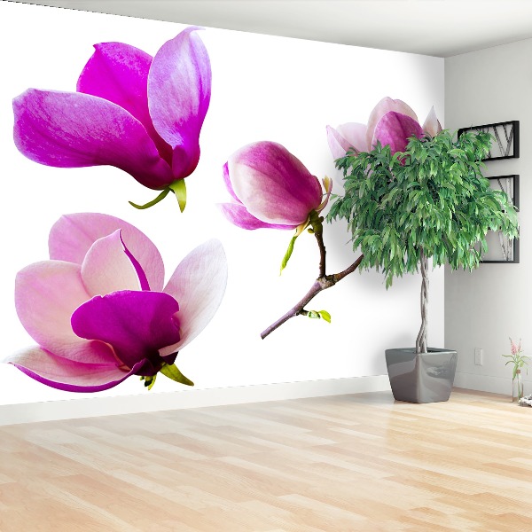 Fototapeta Kwiaty magnolii