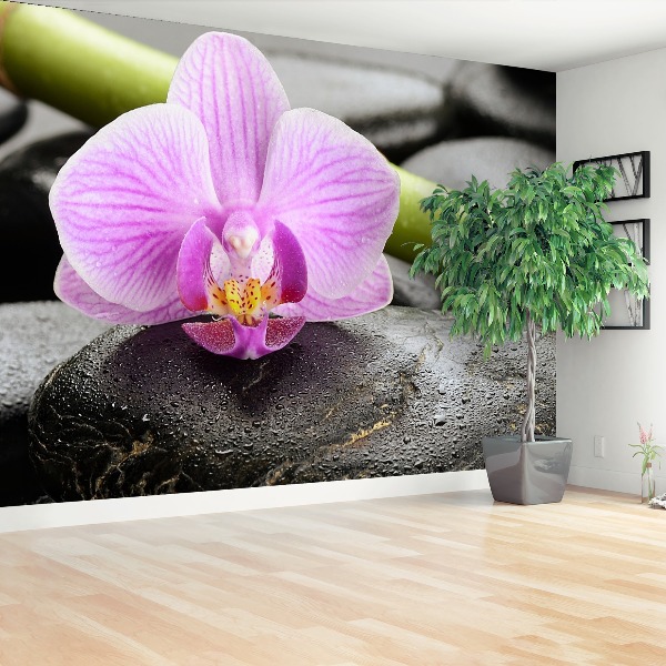 Fototapeta Orchidea Kamienie