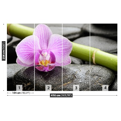 Fototapeta Orchidea Kamienie