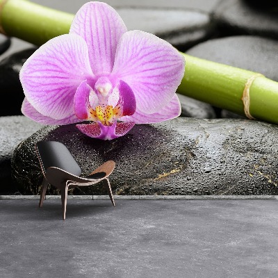 Fototapeta Orchidea Kamienie