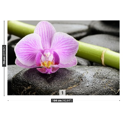 Fototapeta Orchidea Kamienie