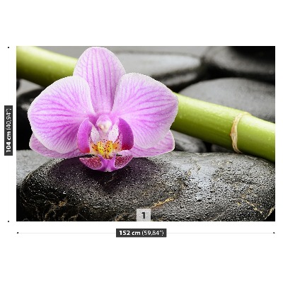 Fototapeta Orchidea Kamienie