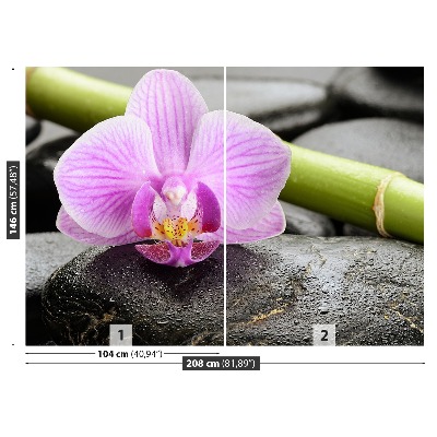 Fototapeta Orchidea Kamienie