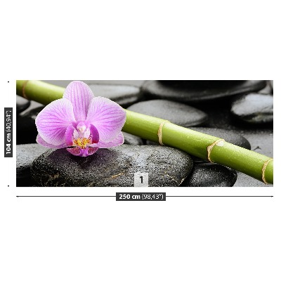 Fototapeta Orchidea Kamienie