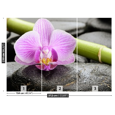 Fototapeta Orchidea Kamienie