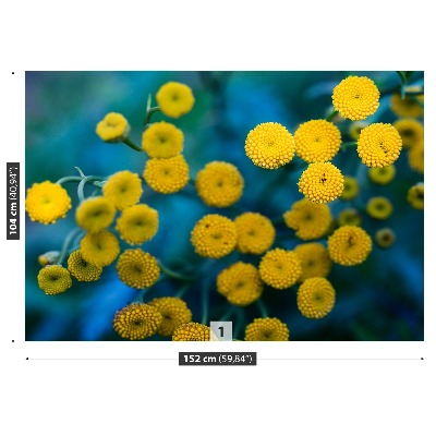 Fototapeta Żółte kwiaty