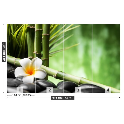 Fototapeta Frangipani Bambus