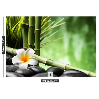 Fototapeta Frangipani Bambus