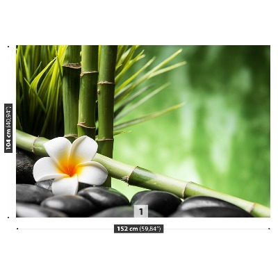 Fototapeta Frangipani Bambus