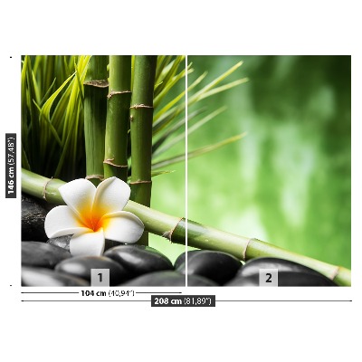 Fototapeta Frangipani Bambus