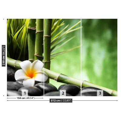 Fototapeta Frangipani Bambus