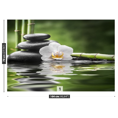 Fototapeta Orchidea i Zen