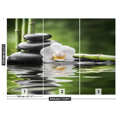 Fototapeta Orchidea i Zen