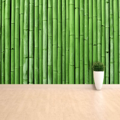 Fototapeta Bambus Zielony