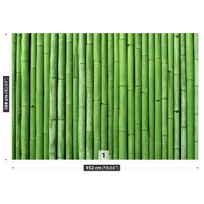 Fototapeta Bambus Zielony