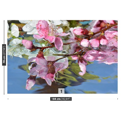Fototapeta Kwiat wiśni Woda