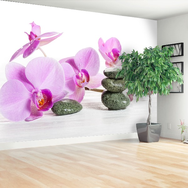 Fototapeta Orchidea Spa