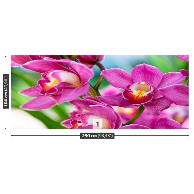 Fototapeta Różowe orchidee