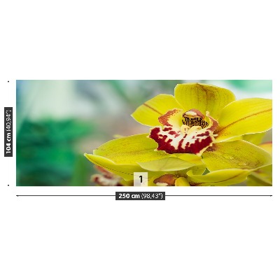 Fototapeta Żółta orchidea