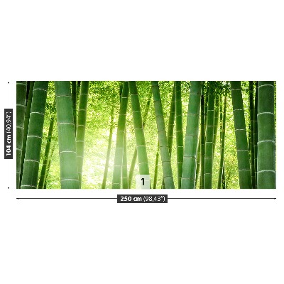 Fototapeta Bambusowy las