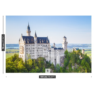 Fototapeta Neuschwanstein