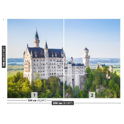 Fototapeta Neuschwanstein