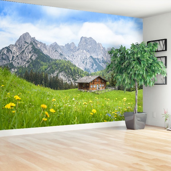 Fototapeta Salzburger Land