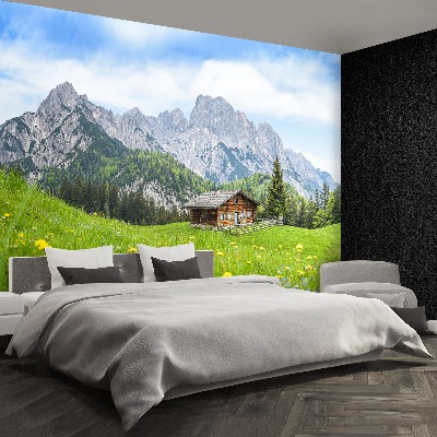 Fototapeta Salzburger Land