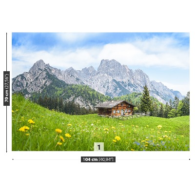 Fototapeta Salzburger Land