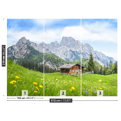 Fototapeta Salzburger Land