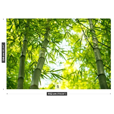 Fototapeta Gałąź Bambus