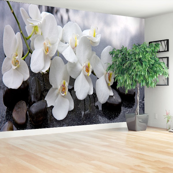 Fototapeta Orchidei Kamienie