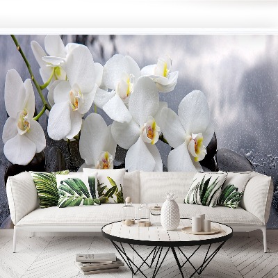 Fototapeta Orchidei Kamienie