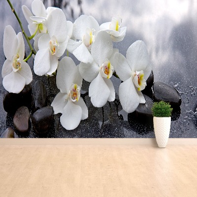 Fototapeta Orchidei Kamienie