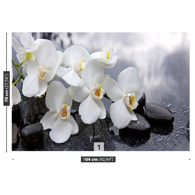 Fototapeta Orchidei Kamienie