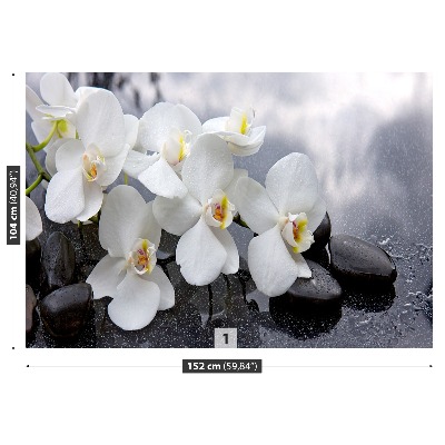 Fototapeta Orchidei Kamienie