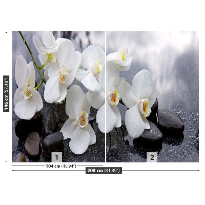 Fototapeta Orchidei Kamienie