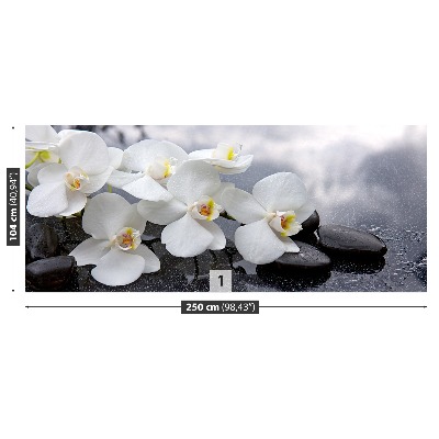 Fototapeta Orchidei Kamienie